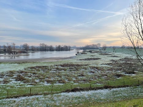 Weer in Tiel vandaag: temperatuur, buienkans en wind